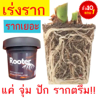 คําแนะนําการขายที่ร้อนแรงในเดือนนี้ ผงเร่งรากRooterถูกที่สุด10 บ.ผงเร่งรากผสมน้ำได้ 1 ลิตร️รากเยอะขึ
