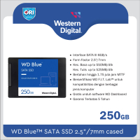 SSD WD Blue SA510 250GB - SSD SATA