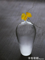 日式禪意玻璃花瓶水培透明花器插花梅瓶水養家居客廳裝飾擺件 領券更優惠