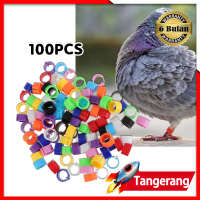 100pcs/Bag Ring Klip 8mm Ring Merpati Jepit Random Pilihan 10 Warna