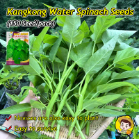 (Fast Growing 150 Seed) 100% Fresh Organic Chinese Upland Kangkong Seeds for Planting Vegetables Big
