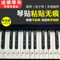 鍵琴貼 音符鍵位貼 鋼琴電子琴鍵盤貼紙88鍵61鍵54鍵初學者五線譜簡譜音符音標按鍵貼『cyd12653』