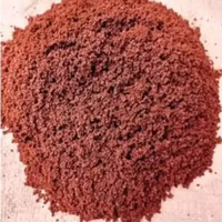 Pasir merah buat alas kelomang agar lebih nyaman