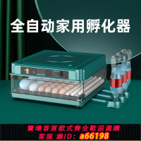 【台灣公司 可開發票】孵化器小型家用全自動智能孵化機鸚鵡雞鴨鵝鵪鶉孵蛋器迷你孵化箱