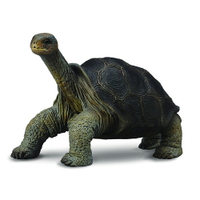 動物模型【 COLLECTA 】平塔島象龜