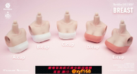 {保固一年 可打統編}Worldbox 耐操 1/6比例 女素體 大胸件 胸型配件 現貨