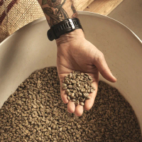 【E7HomeCafe一起烘咖啡】哥斯大黎加征服者水洗咖啡生豆1kg/袋(Ai智能挑豆生豆)
