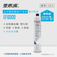 愛惠浦 EVERPURE EF6000活性碳濾芯(到府更換)
