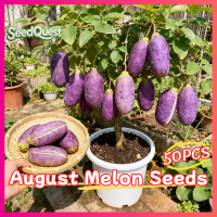 100% Original 50pcs Sweet August Melon Seeds for Planting Fruit Trees High Yield Dwarf August Melon 