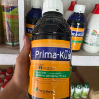 Herbisida Prima-Kuat 276SL Obat pembasmi rumput