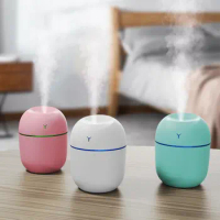 250ML Sprayer Mini Air Humidifier USB Aroma Essential Oil Diffuser Home Car Ultrasonic Mist Maker with LED Night Lamp Diffuser