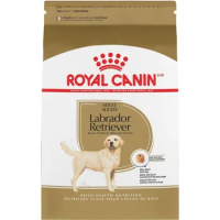 Labrador Retriever Adult Dry Dog Food, 30 lb bag