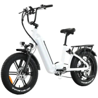 New 1000W 48V 20AH Lithium Battery 4.0 Fat Ebike Fatbike Folding Bike Adult 20 Inch Electric Bike Electric Bike