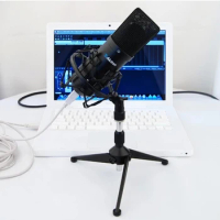 New Alctron UM900 Professional USB Studio Condenser Microphone,Pro USB Recording Mic Cardioid USB condenser microphone