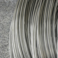 1kg 304 Stainless Steel Wire Hanger Wire 1/1.2/1.5/2/2.5/3/3.5/4mm Tie Wire Frame Wire Stainless Steel Single Medium Hard Wire