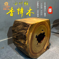 廠家直出 木墩 矮凳 邊幾 凳子 換鞋凳  小葉樟木花架換鞋茶幾凳子實木樹樁底座原木根雕天然自然整體木墩 工廠現貨 八折下殺syeb
