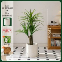 掬涵北歐輕奢模擬綠植龍血樹大型落地盆栽高階假植物客廳裝飾擺件