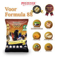 PHOENIX FORMULA 88 Baru Pakan MURAI KACER ANIS MERAH CUCAK HIJAU BEO MURAH BERKUALITAS BAGUS GACOR J