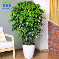 免運 花盆 花樹盆栽  特大種樹盆仿陶瓷高筒花瓶加厚耐用室內室外辦公室花盆【YY】
