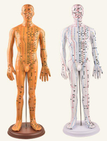 政河針灸穴位人體模型經絡穴位模特圖全身中醫十二銅人紮針小皮人