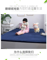 地墊 2公分厚 榻榻米 珊瑚絨臥室客廳地毯 飄窗墊 床邊毯房爬行墊