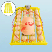 Egg Incubator Tray Automatic Turning Small er Household 220V 32 Eggs Tray for Bird Poultry Chick Duck Eggs