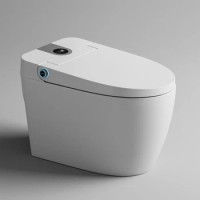 Customized wc electric bidet ceramic integrated floor-standing smart toilet