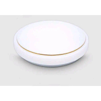 Lampu Plafon Led Modern Ceiling Light Pasti Ori
