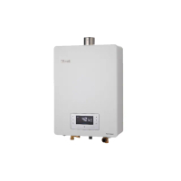【林內】屋內型強制排氣熱水器 16L(RUA-C1620WF 基本安裝原廠保固)