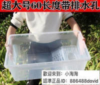 超大號特大號烏龜缸帶排水塑料大型龜箱水陸缸烏龜飼養箱 MASLAV3061  3966346634664466767-忽