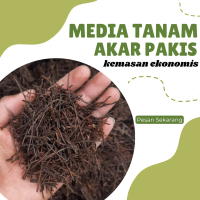 Media Tanam Akar Pakis Cacah Ukuran 200g