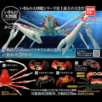 萬代 轉蛋 生物大圖鑑 螃蟹02 大全套 四款一組 現貨日版