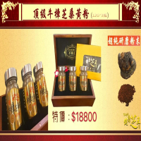 【百年永續健康芝王】頂級牛樟芝桑黃粉(12G*3瓶)