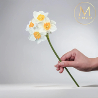 【Floral M】浪漫限定冬季白色西洋水仙花仿真花花材 （4入組）(人造花/塑膠花/假花/裝飾花)