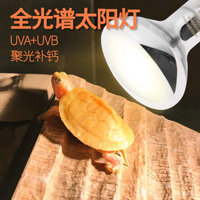 曬背燈 水龜曬背燈補鈣太陽燈全光譜UAV UVB紫外線燈陸龜蜥蜴爬寵燈