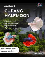 Hiasan Aquarium Cupang Halfmoon
