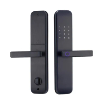 2022 new arrival Tuya WiFi inteligente digital fingerprint smart lock door intelligent smart lock