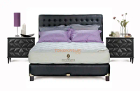 QUANTUM POSTURE MASTER 25 cm 180X200 MATRAS ONLY