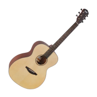 【Veelah】VOSM 桃花心合版系列 41吋 木吉他(原廠公司貨 商品皆有保固一年)