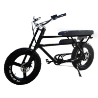 New Design Double Full Suspension 20inch Fat Tyre Beach Electric Bike