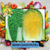 Jenis Benih Sayurn Sawi Bibit Sayuran Sawi Benih Sawi Putih