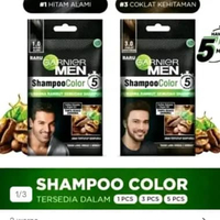 GARNIER MEN Shampoo Color coklat